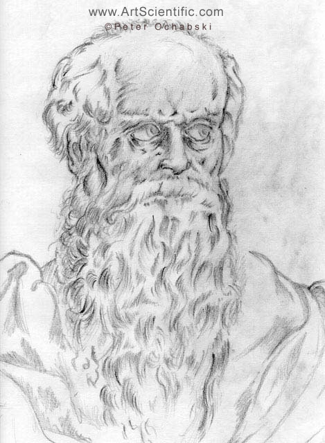 pencil sketch old man wisdom