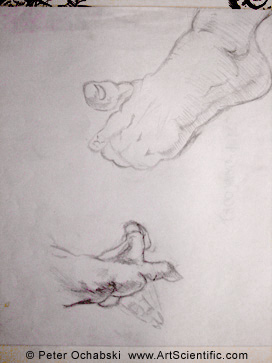 Hand and foot sketch