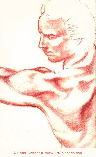 male figure profile drawing