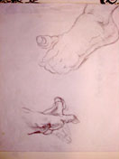 hand and foot study sketch