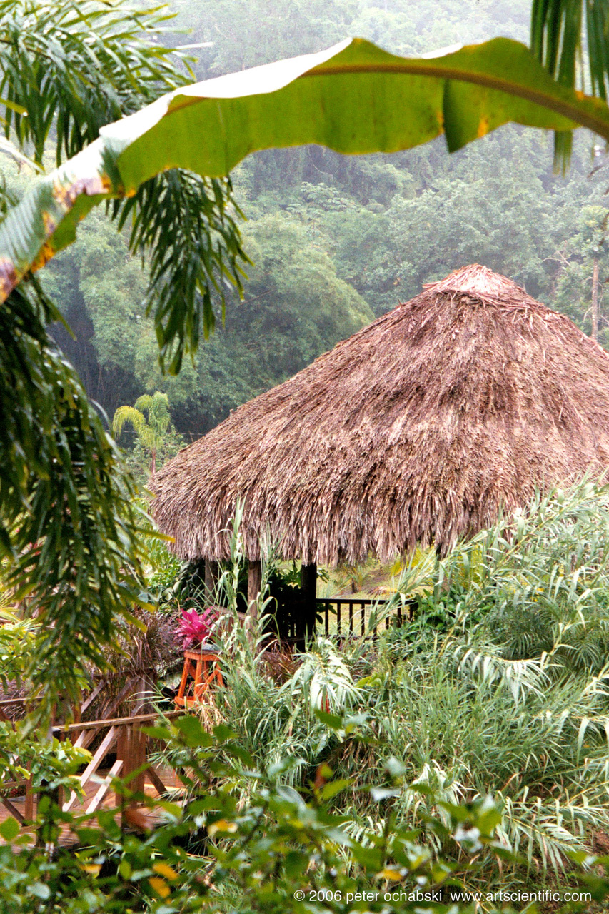 jamaican jungle vacation hut