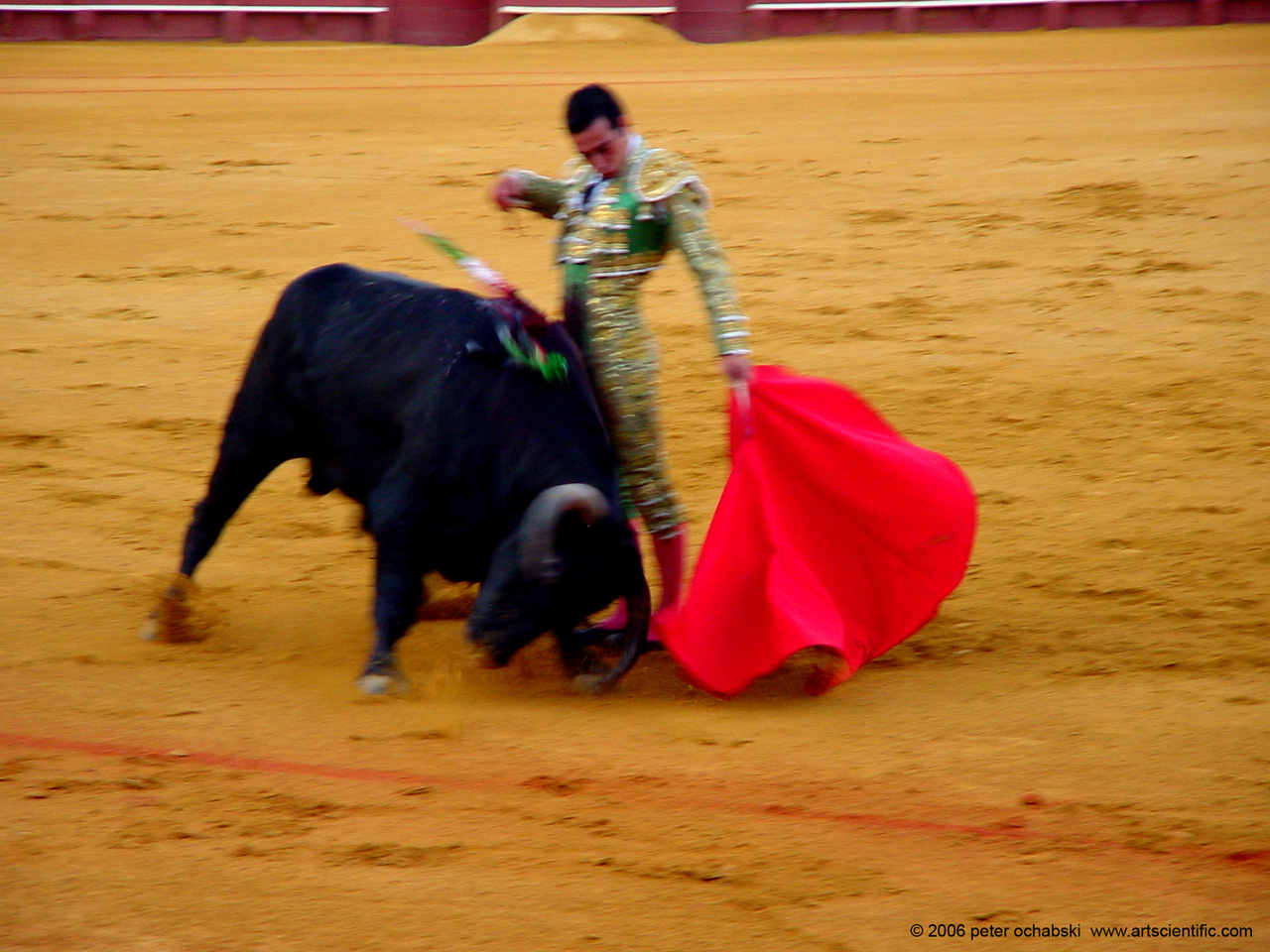 matador bullfight red