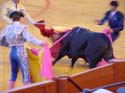 Bullfight Sevilla action